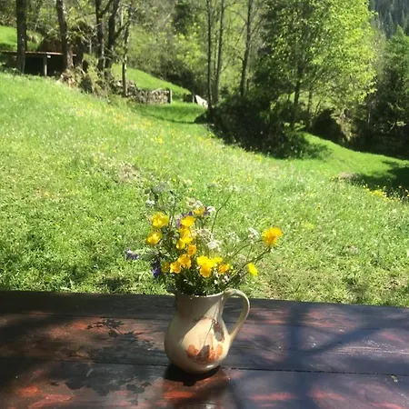 Alpesi faház Chalet Nel Bosco Foglugsan *