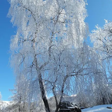 Chalet Nel Bosco Foglugsan Alpesi faház *
