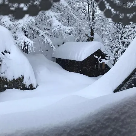 Chalet Nel Bosco Foglugsan Alpesi faház Formazza
