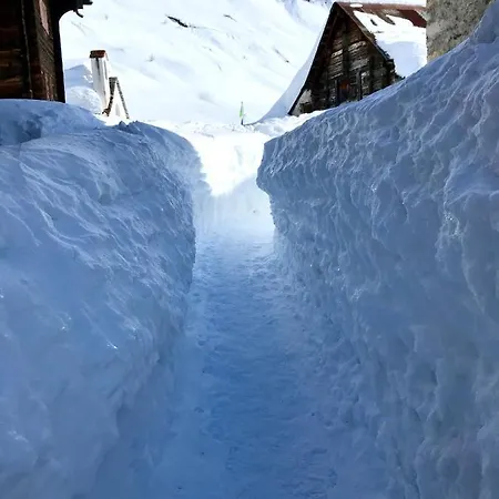 Alpesi faház Chalet Nel Bosco Foglugsan Formazza